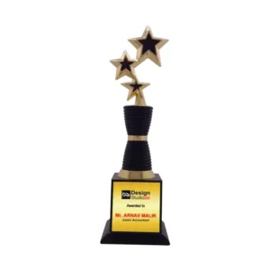 Wood & Metal Trophy WM 9992