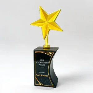 Wood & Metal Trophy WM 9993