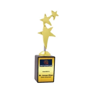 Wood & Metal Trophy WM 9994
